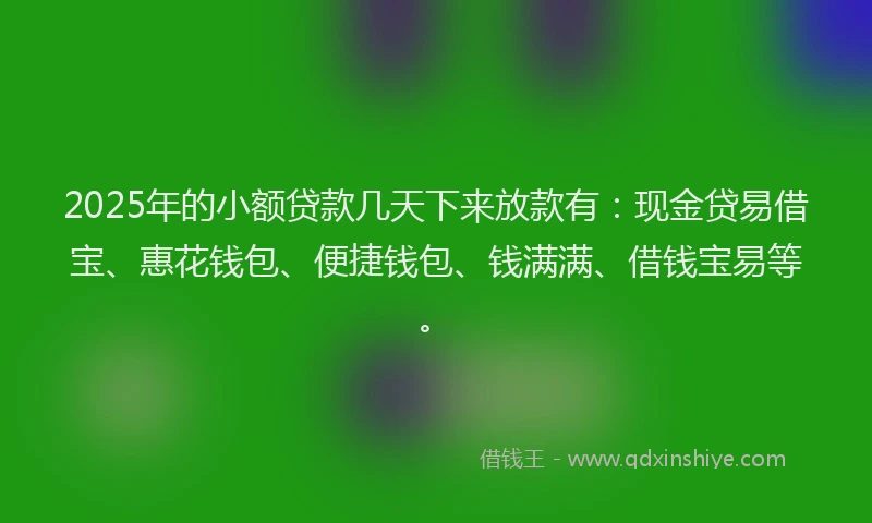 2025年的小额贷款几天下来放款有：现金贷易借宝、惠花钱包、便捷钱包、钱满满、借钱宝易等。