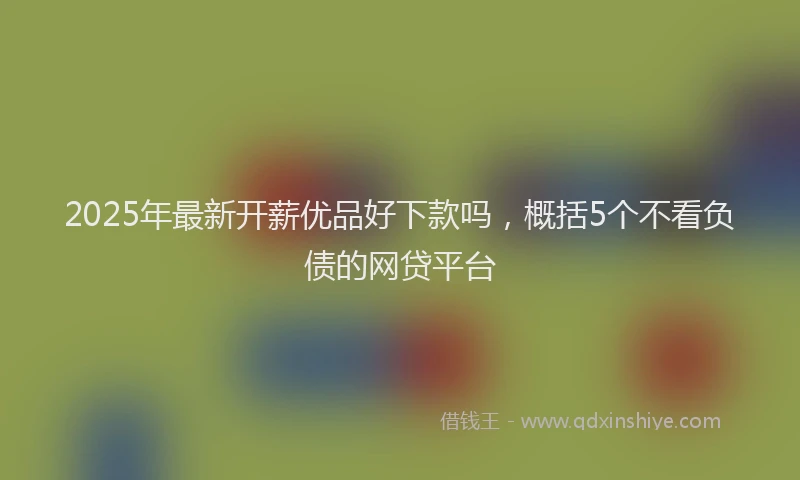 2025年最新开薪优品好下款吗，概括5个不看负债的网贷平台