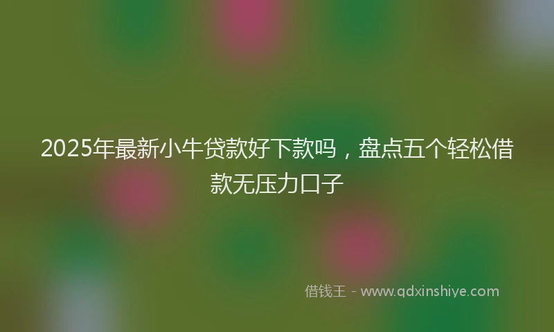 2025年最新小牛贷款好下款吗，盘点五个轻松借款无压力口子