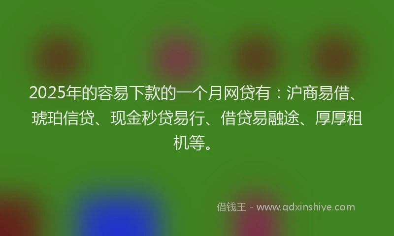 2025年的容易下款的一个月网贷有：沪商易借、琥珀信贷、现金秒贷易行、借贷易融途、厚厚租机等。