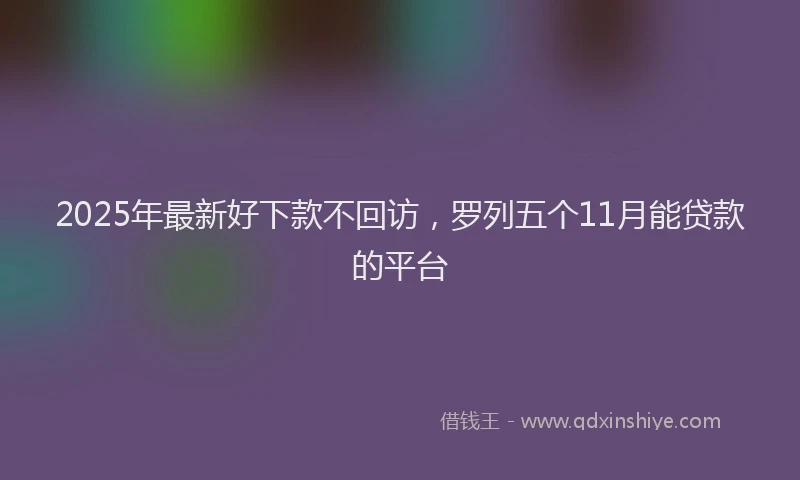2025年最新好下款不回访，罗列五个11月能贷款的平台