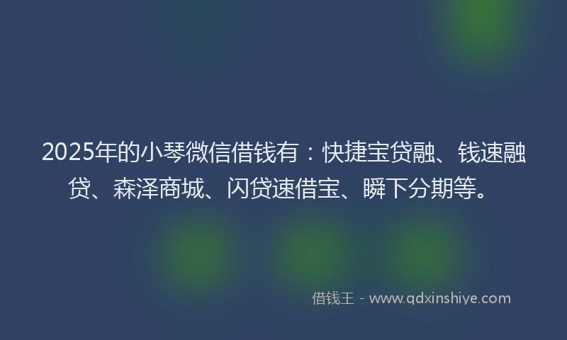2025年的小琴微信借钱有：快捷宝贷融、钱速融贷、森泽商城、闪贷速借宝、瞬下分期等。