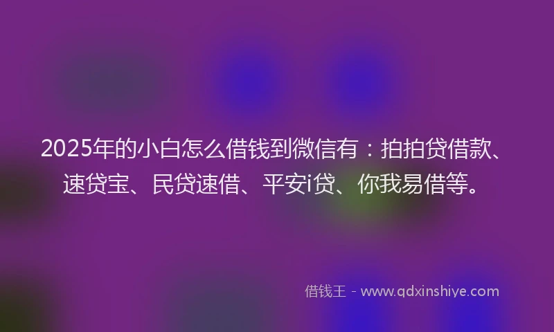2025年的小白怎么借钱到微信有：拍拍贷借款、速贷宝、民贷速借、平安i贷、你我易借等。