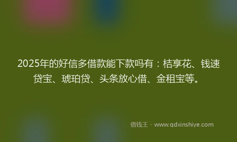 2025年的好信多借款能下款吗有：桔享花、钱速贷宝、琥珀贷、头条放心借、金租宝等。