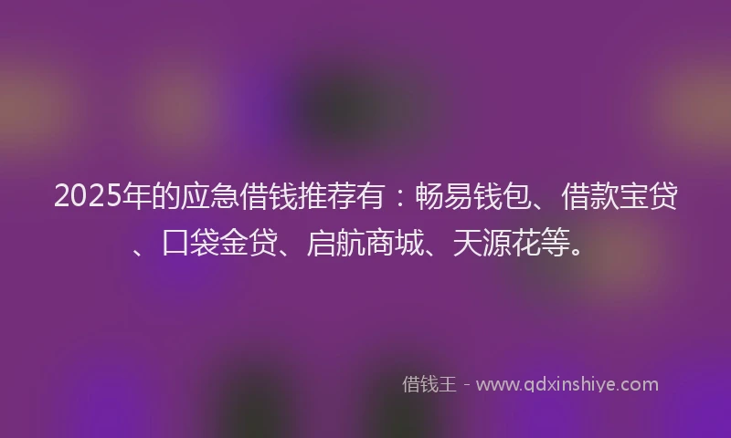 2025年的应急借钱推荐有：畅易钱包、借款宝贷、口袋金贷、启航商城、天源花等。