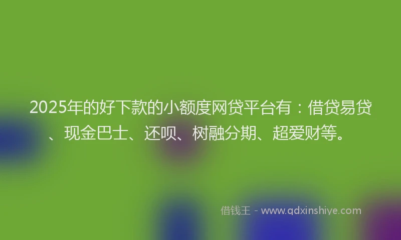 2025年的好下款的小额度网贷平台有：借贷易贷、现金巴士、还呗、树融分期、超爱财等。