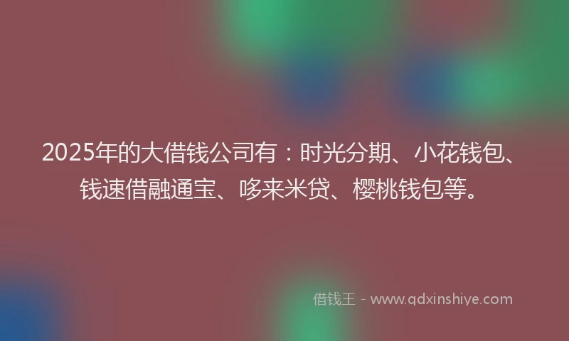 2025年的大借钱公司有：时光分期、小花钱包、钱速借融通宝、哆来米贷、樱桃钱包等。