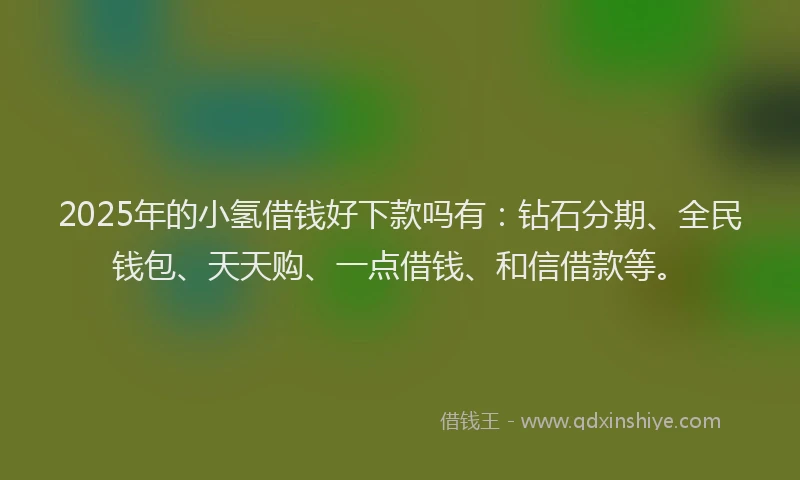 2025年的小氢借钱好下款吗有：钻石分期、全民钱包、天天购、一点借钱、和信借款等。