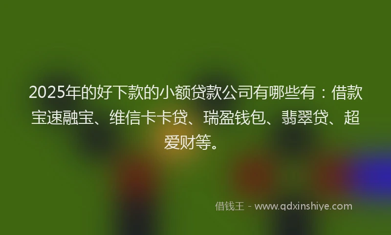 2025年的好下款的小额贷款公司有哪些有：借款宝速融宝、维信卡卡贷、瑞盈钱包、翡翠贷、超爱财等。