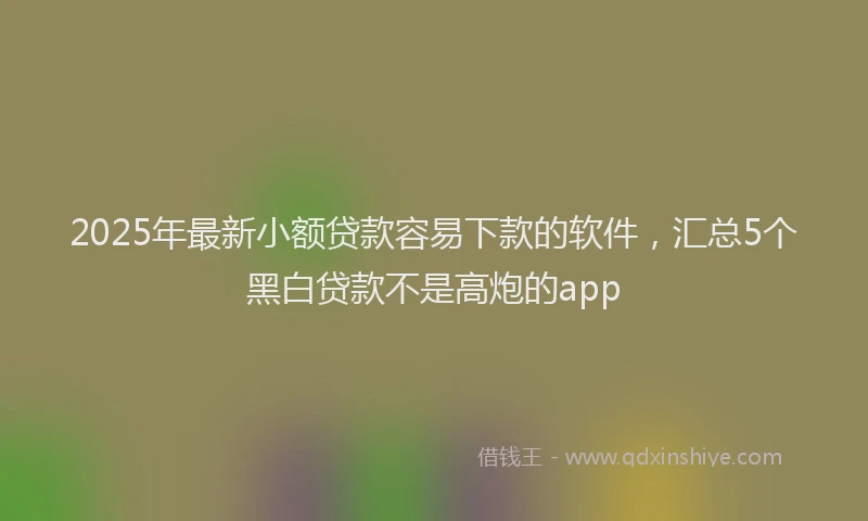 2025年最新小额贷款容易下款的软件，汇总5个黑白贷款不是高炮的app