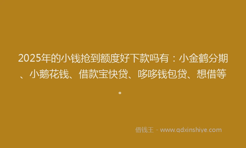 2025年的小钱抢到额度好下款吗有：小金鹤分期、小鹅花钱、借款宝快贷、哆哆钱包贷、想借等。
