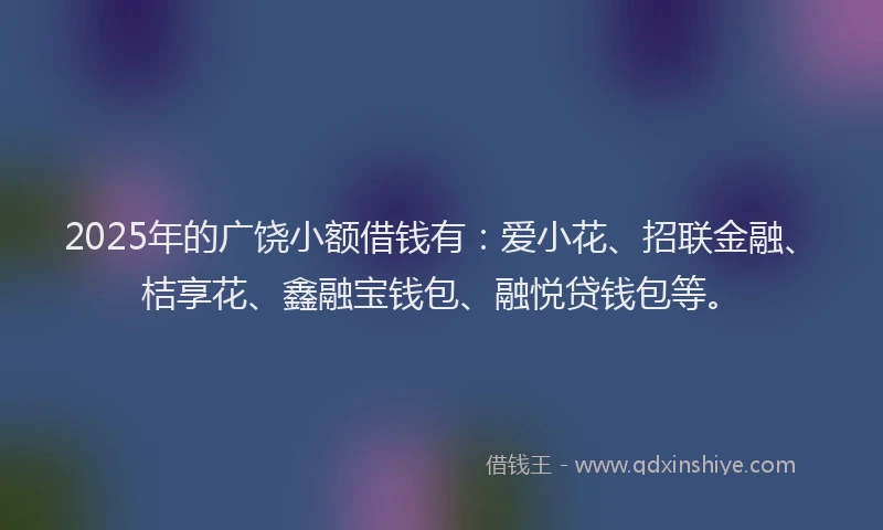 2025年的广饶小额借钱有：爱小花、招联金融、桔享花、鑫融宝钱包、融悦贷钱包等。