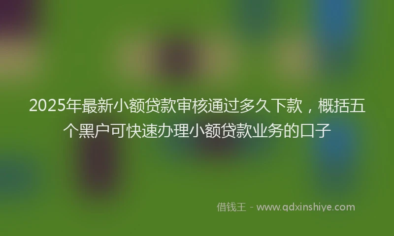 2025年最新小额贷款审核通过多久下款，概括五个黑户可快速办理小额贷款业务的口子