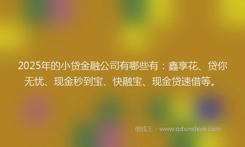 2025年的小贷金融公司有哪些有：鑫享花、贷你无忧、现金秒到宝、快融宝、现金贷速借等。