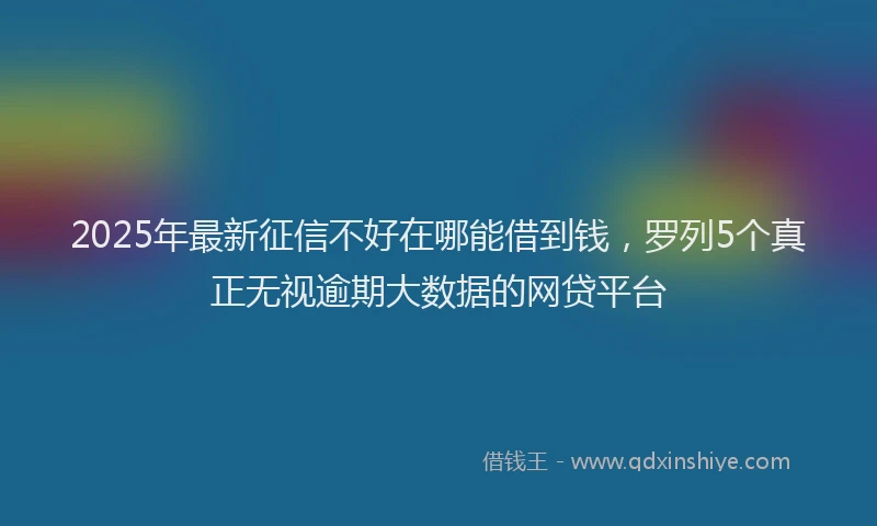 2025年最新征信不好在哪能借到钱，罗列5个真正无视逾期大数据的网贷平台