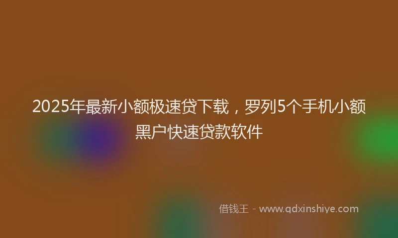 2025年最新小额极速贷下载，罗列5个手机小额黑户快速贷款软件