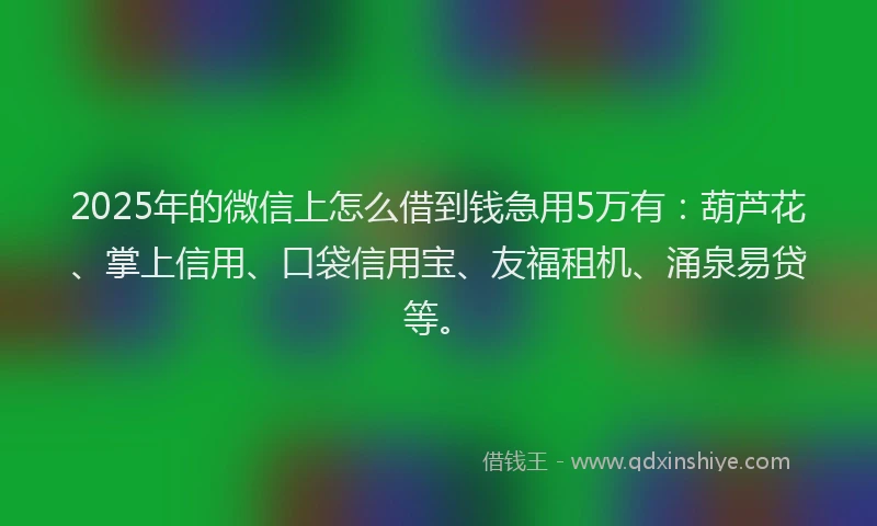 2025年的微信上怎么借到钱急用5万有：葫芦花、掌上信用、口袋信用宝、友福租机、涌泉易贷等。