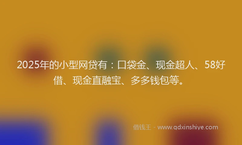2025年的小型网贷有：口袋金、现金超人、58好借、现金直融宝、多多钱包等。