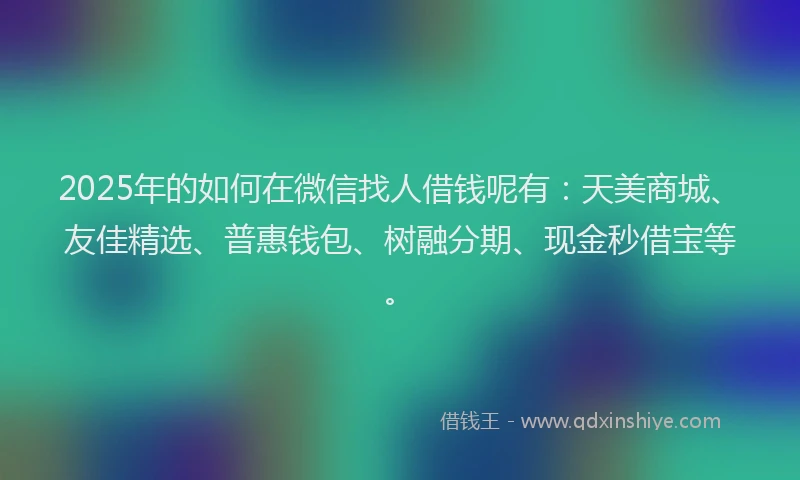 2025年的如何在微信找人借钱呢有：天美商城、友佳精选、普惠钱包、树融分期、现金秒借宝等。
