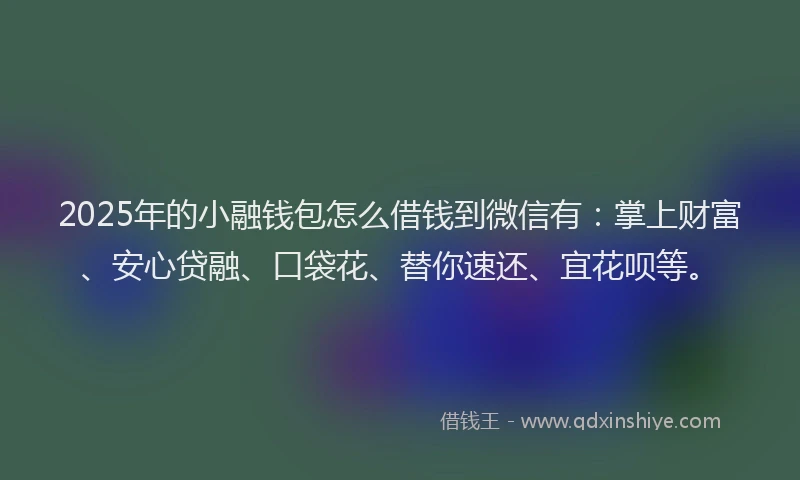 2025年的小融钱包怎么借钱到微信有：掌上财富、安心贷融、口袋花、替你速还、宜花呗等。