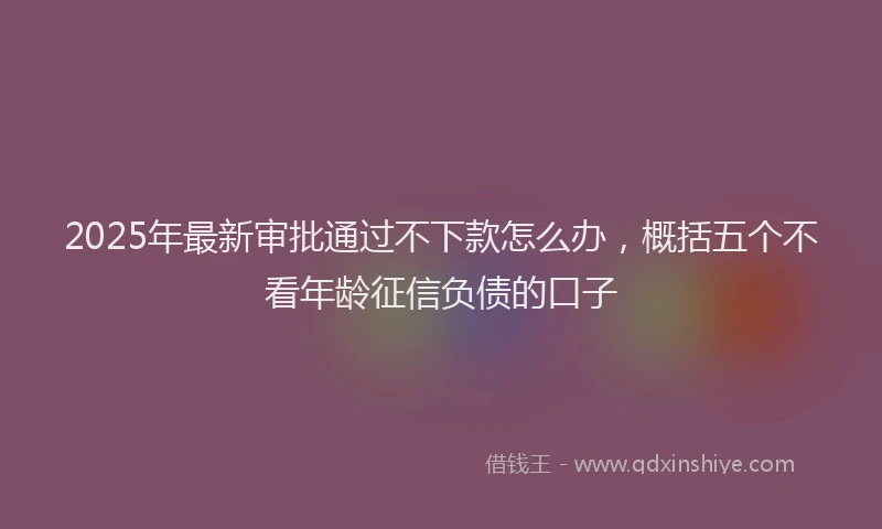 2025年最新审批通过不下款怎么办，概括五个不看年龄征信负债的口子
