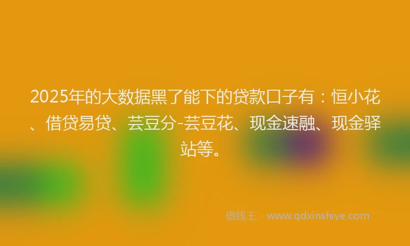 2025年的大数据黑了能下的贷款口子有：恒小花、借贷易贷、芸豆分-芸豆花、现金速融、现金驿站等。