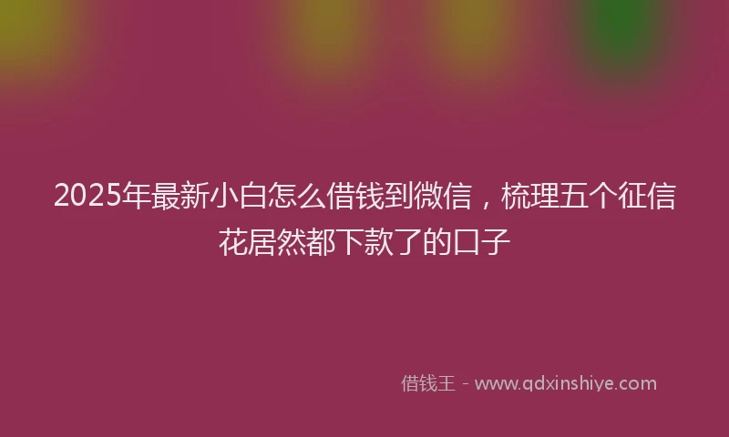 2025年最新小白怎么借钱到微信，梳理五个征信花居然都下款了的口子