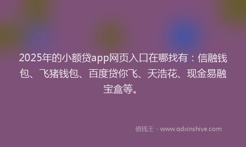 2025年的小额贷app网页入口在哪找有：信融钱包、飞猪钱包、百度贷你飞、天浩花、现金易融宝盒等。