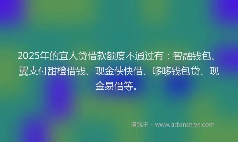 2025年的宜人贷借款额度不通过有：智融钱包、翼支付甜橙借钱、现金侠快借、哆哆钱包贷、现金易借等。