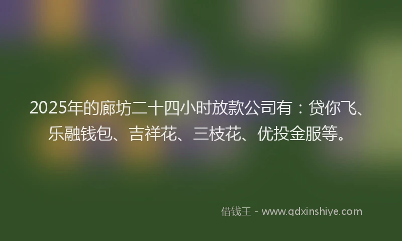 2025年的廊坊二十四小时放款公司有：贷你飞、乐融钱包、吉祥花、三枝花、优投金服等。