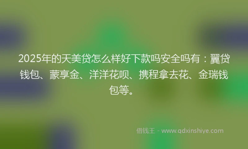 2025年的天美贷怎么样好下款吗安全吗有：翼贷钱包、蒙享金、洋洋花呗、携程拿去花、金瑞钱包等。
