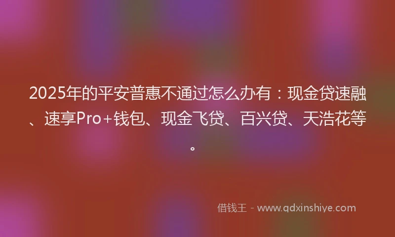 2025年的平安普惠不通过怎么办有：现金贷速融、速享Pro+钱包、现金飞贷、百兴贷、天浩花等。