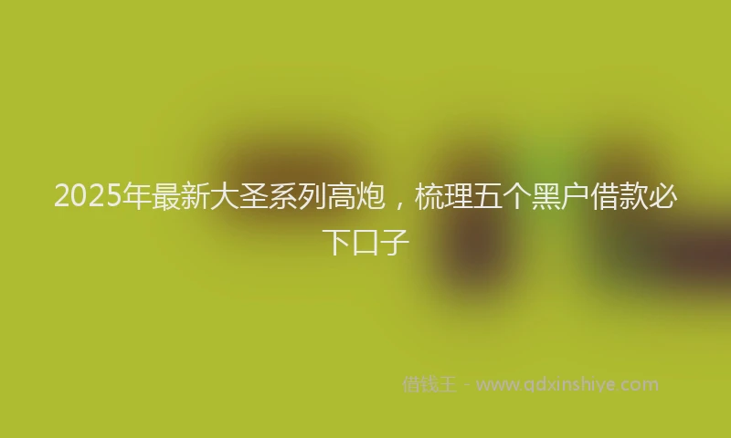 2025年最新大圣系列高炮，梳理五个黑户借款必下口子