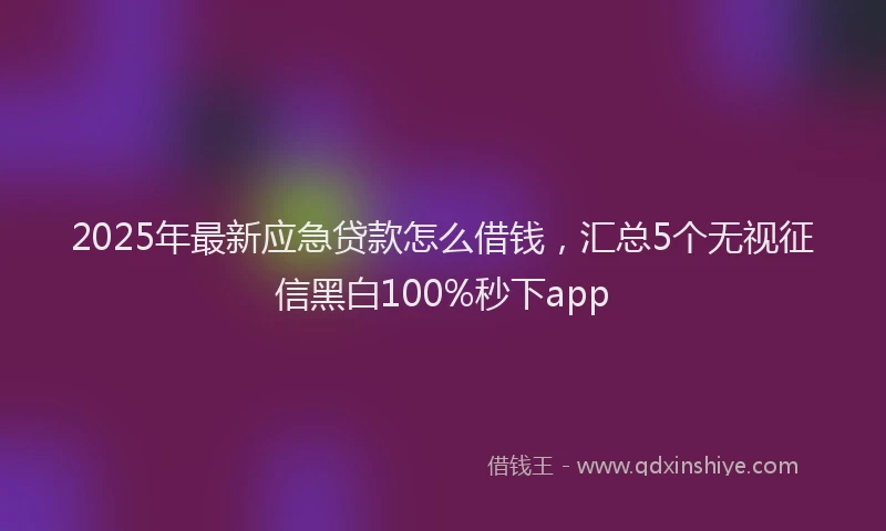 2025年最新应急贷款怎么借钱，汇总5个无视征信黑白100%秒下app