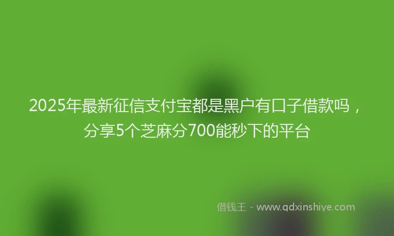 2025年最新征信支付宝都是黑户有口子借款吗，分享5个芝麻分700能秒下的平台