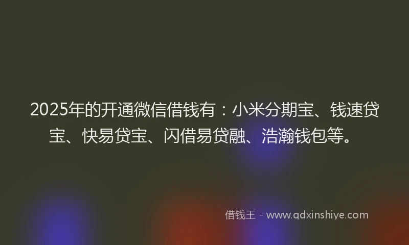 2025年的开通微信借钱有：小米分期宝、钱速贷宝、快易贷宝、闪借易贷融、浩瀚钱包等。