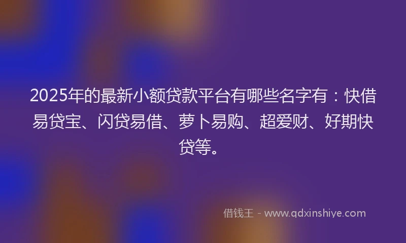 2025年的最新小额贷款平台有哪些名字有：快借易贷宝、闪贷易借、萝卜易购、超爱财、好期快贷等。