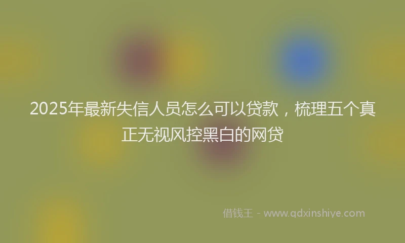 2025年最新失信人员怎么可以贷款，梳理五个真正无视风控黑白的网贷
