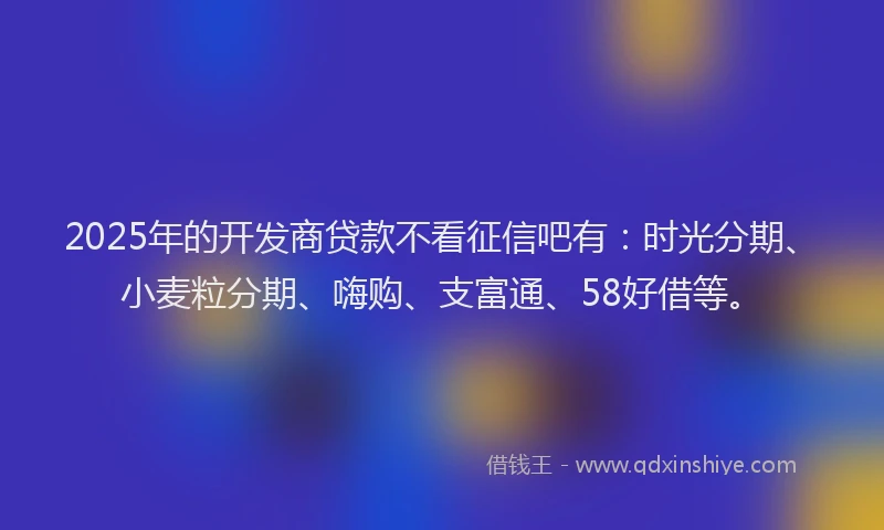 2025年的开发商贷款不看征信吧有：时光分期、小麦粒分期、嗨购、支富通、58好借等。
