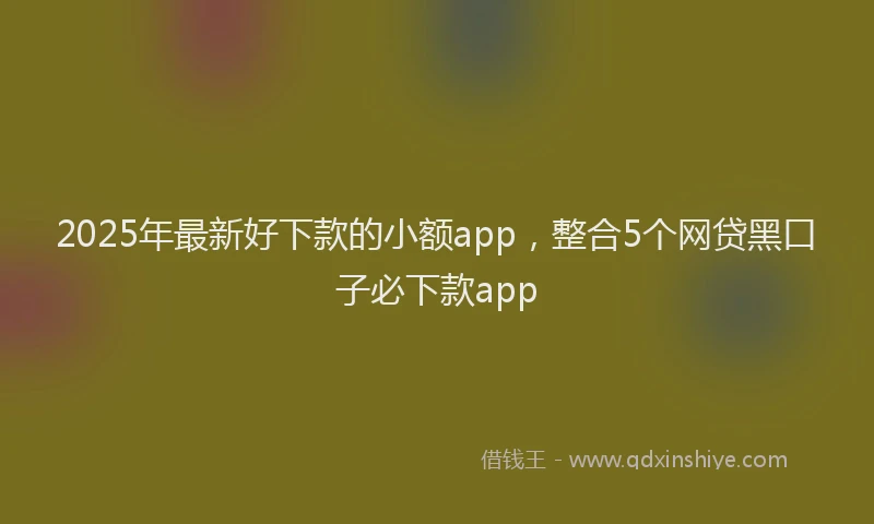 2025年最新好下款的小额app，整合5个网贷黑口子必下款app