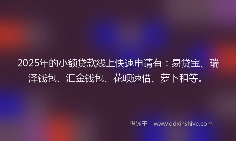 2025年的小额贷款线上快速申请有：易贷宝、瑞泽钱包、汇金钱包、花呗速借、萝卜租等。