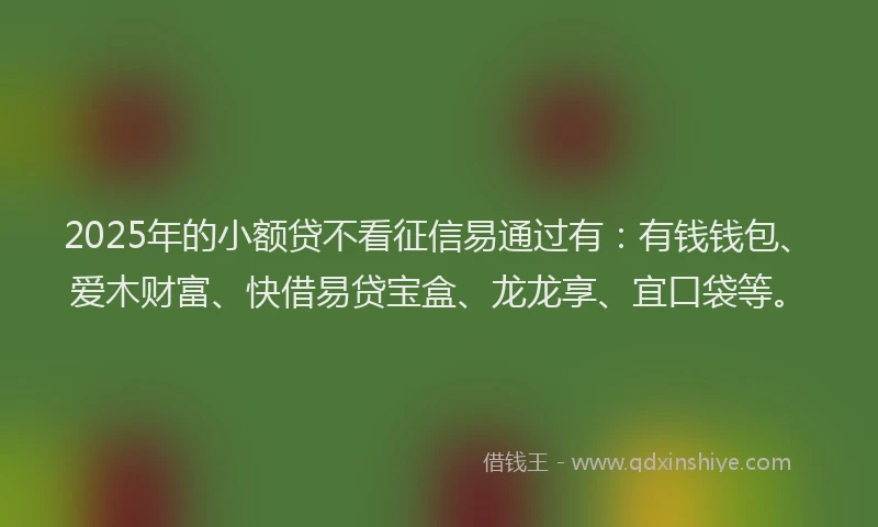 2025年的小额贷不看征信易通过有：有钱钱包、爱木财富、快借易贷宝盒、龙龙享、宜口袋等。