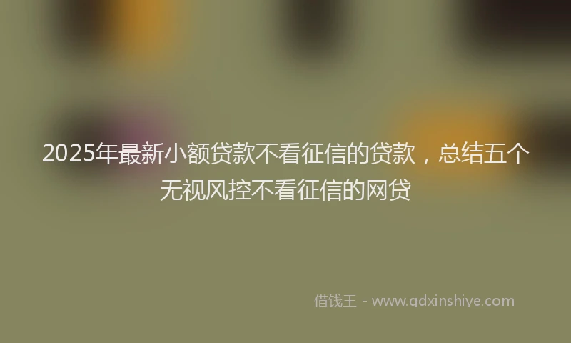 2025年最新小额贷款不看征信的贷款，总结五个无视风控不看征信的网贷