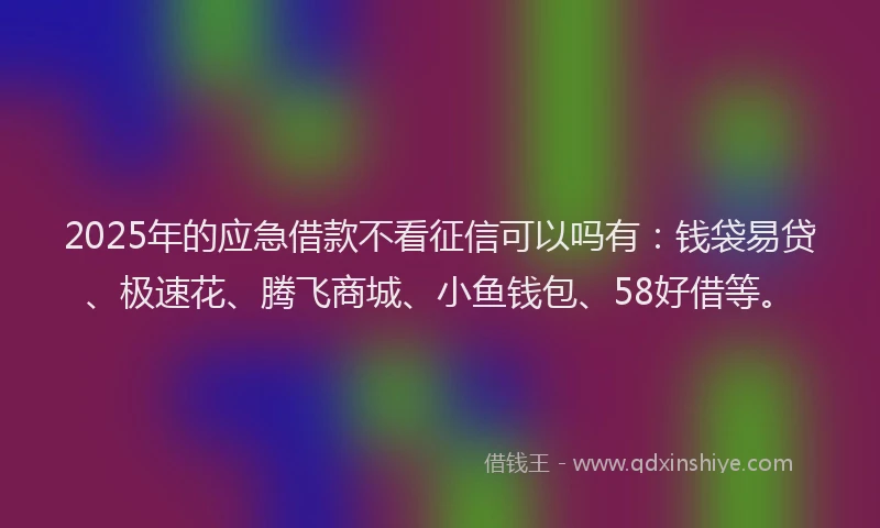 2025年的应急借款不看征信可以吗有：钱袋易贷、极速花、腾飞商城、小鱼钱包、58好借等。