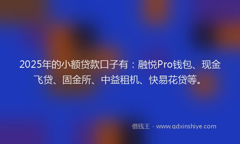 2025年的小额贷款口子有：融悦Pro钱包、现金飞贷、固金所、中益租机、快易花贷等。