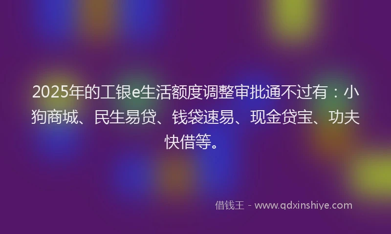 2025年的工银e生活额度调整审批通不过有：小狗商城、民生易贷、钱袋速易、现金贷宝、功夫快借等。