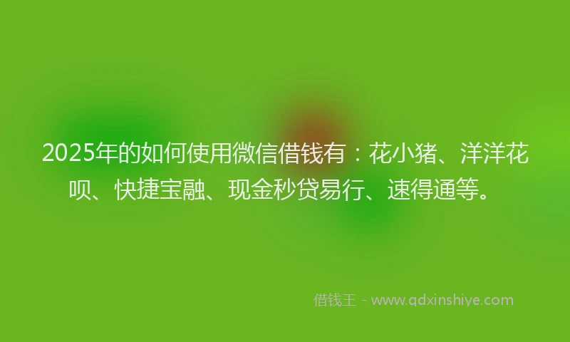 2025年的如何使用微信借钱有：花小猪、洋洋花呗、快捷宝融、现金秒贷易行、速得通等。