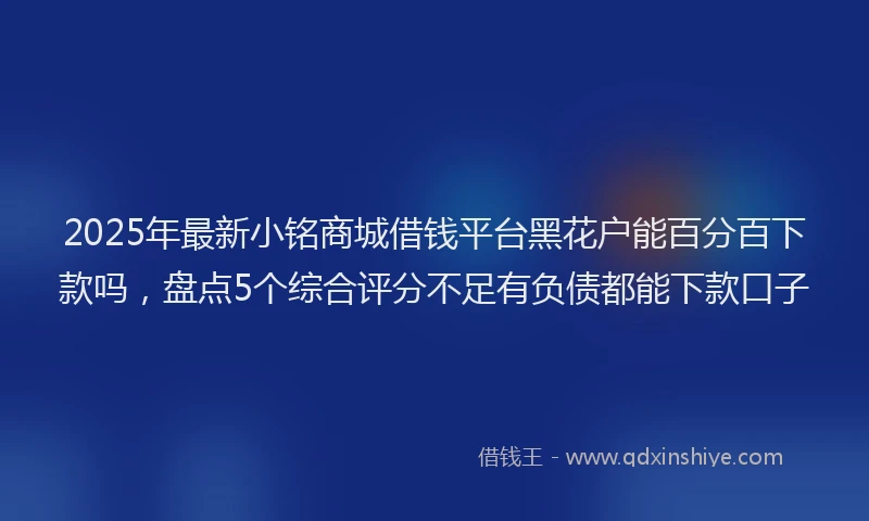 2025年最新小铭商城借钱平台黑花户能百分百下款吗，盘点5个综合评分不足有负债都能下款口子