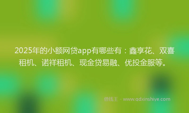 2025年的小额网贷app有哪些有：鑫享花、双喜租机、诺祥租机、现金贷易融、优投金服等。