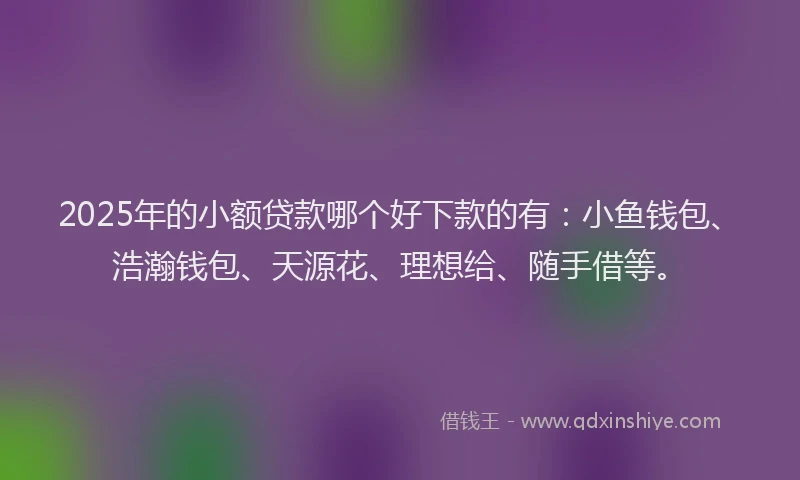 2025年的小额贷款哪个好下款的有：小鱼钱包、浩瀚钱包、天源花、理想给、随手借等。